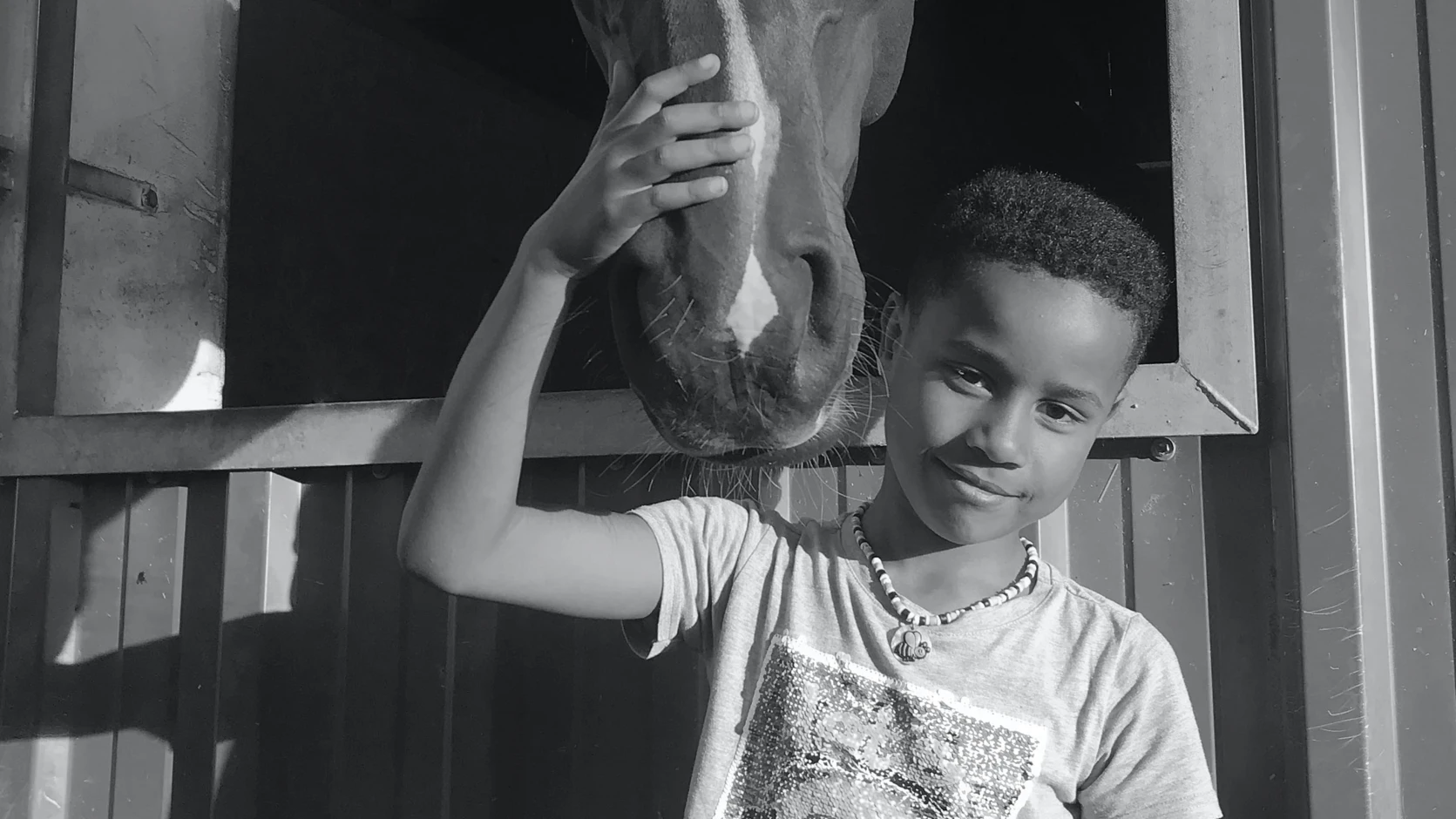 Wir unterstützen die Hamburger Sommerschule